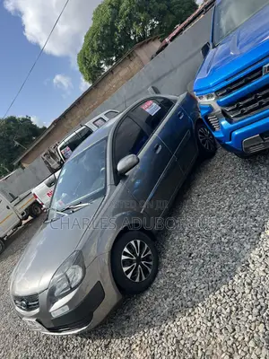 Kia Rio LX 4dr Sedan (1.6L 4cyl 4A) 2010 Gray