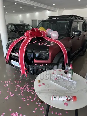 Top Car Salesperson Needed