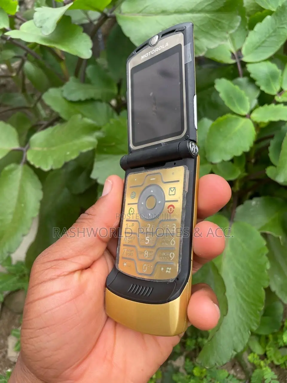Motorola RAZR V3i Gold