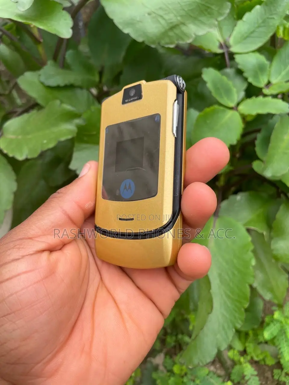 Motorola RAZR V3i Gold