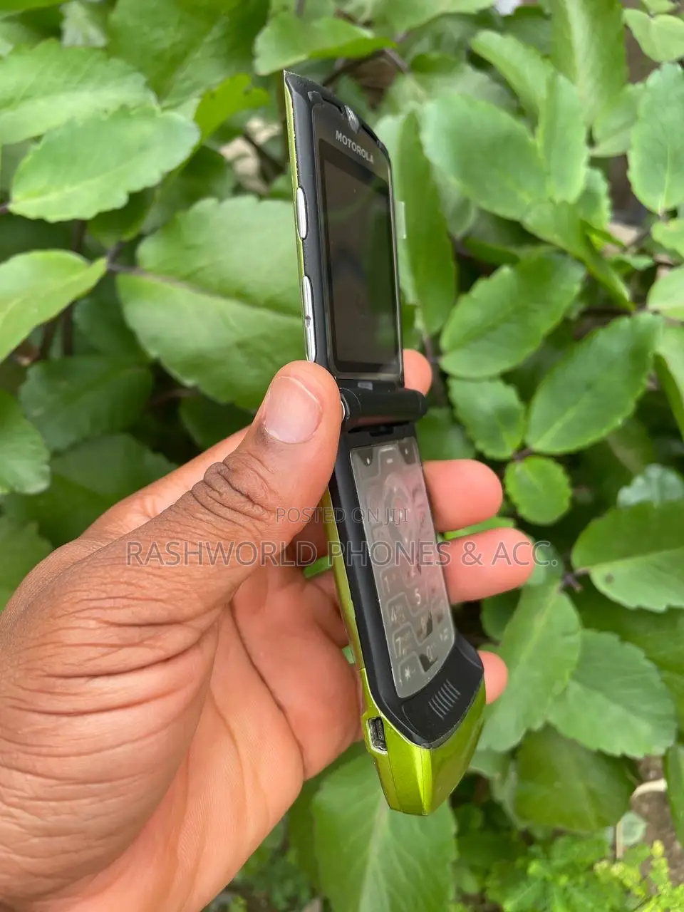 Motorola RAZR V3i Green