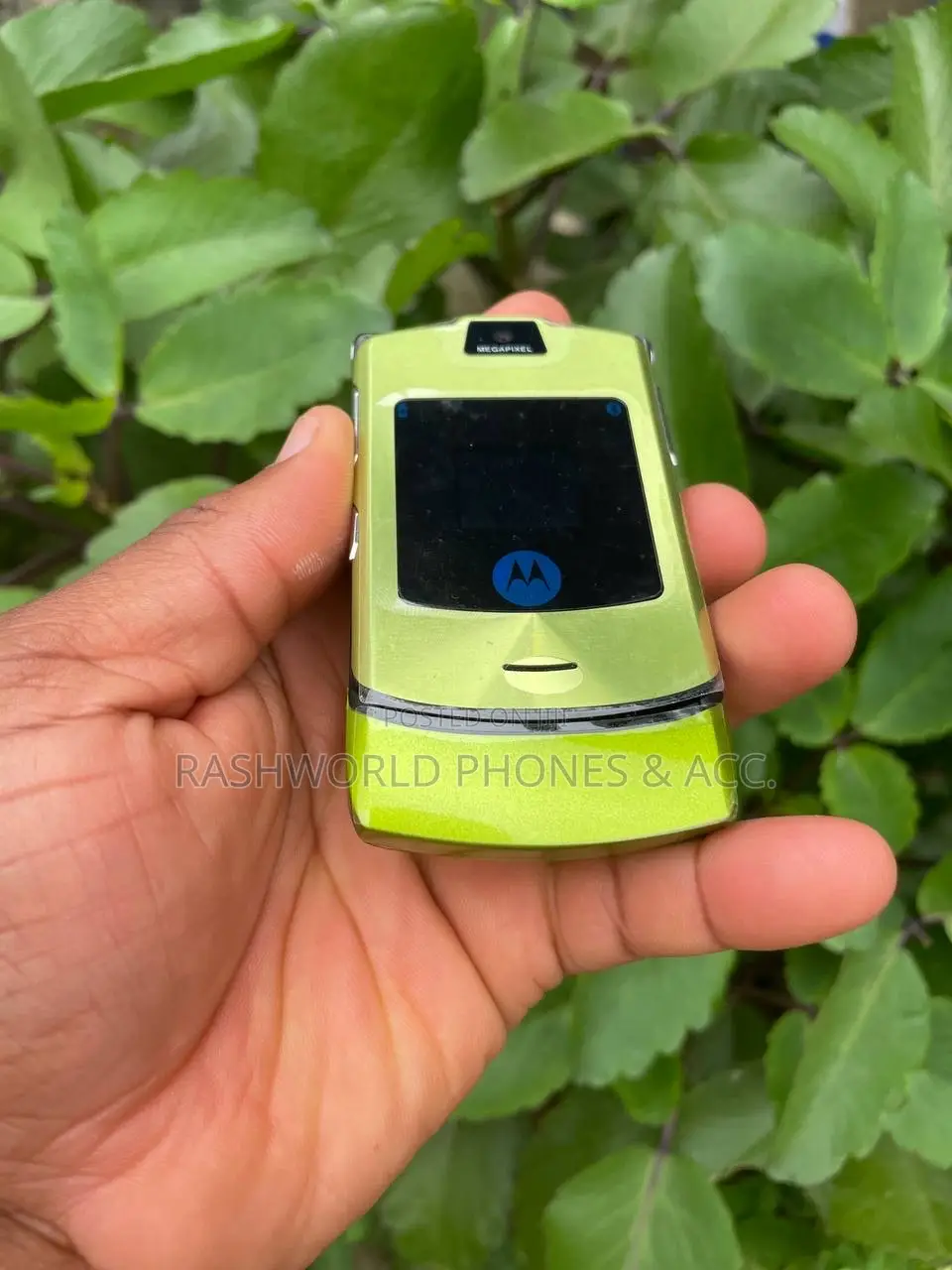 Motorola RAZR V3i Green