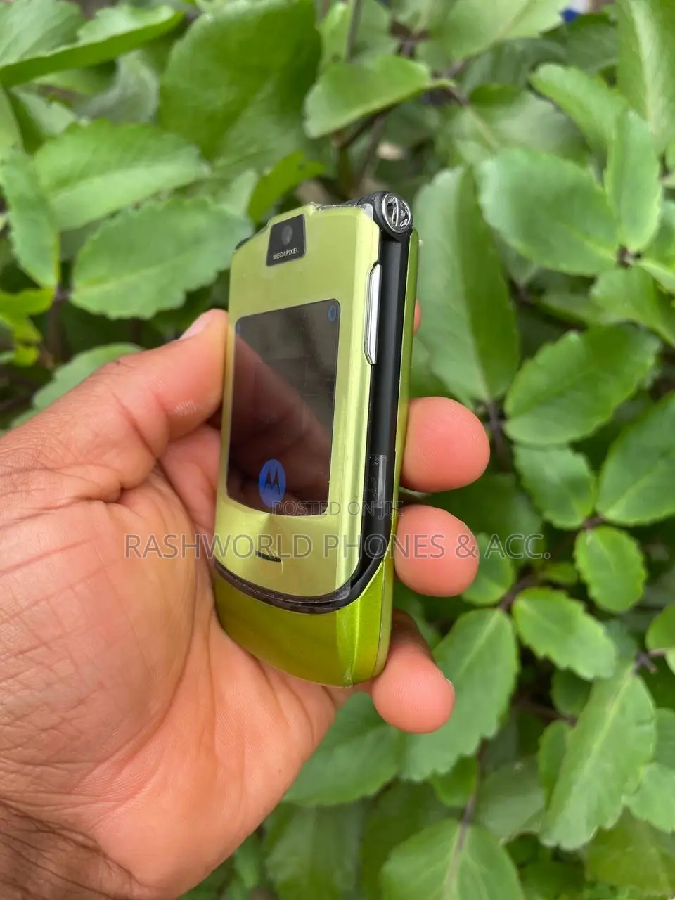 Motorola RAZR V3i Green