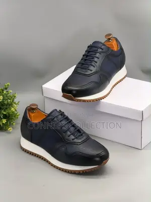 Luxury Leather Berluti Shoes
