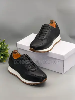 Luxury Leather Berluti Shoes
