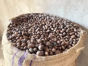 100kg Bags of Shea Nuts for Sale