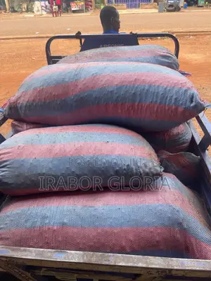 100kg Bags of Shea Nuts for Sale