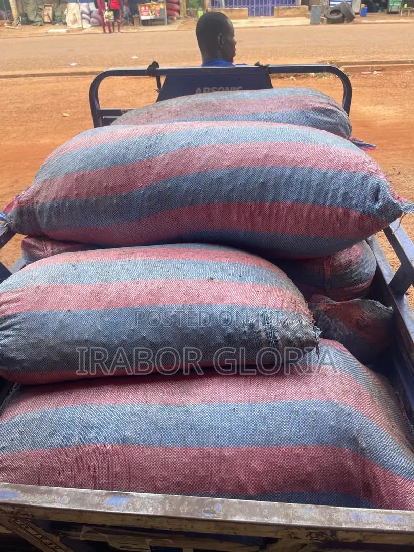 100kg Bags of Shea Nuts for Sale