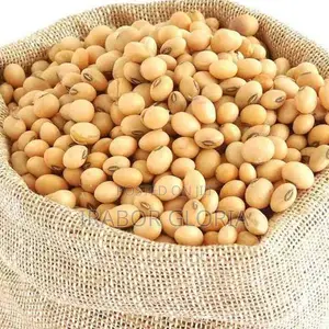 50kg Bags of Soya Bean for Sale