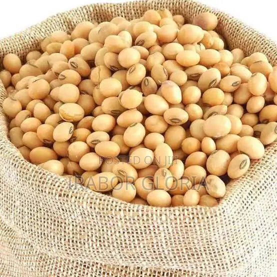 50kg Bags of Soya Bean for Sale
