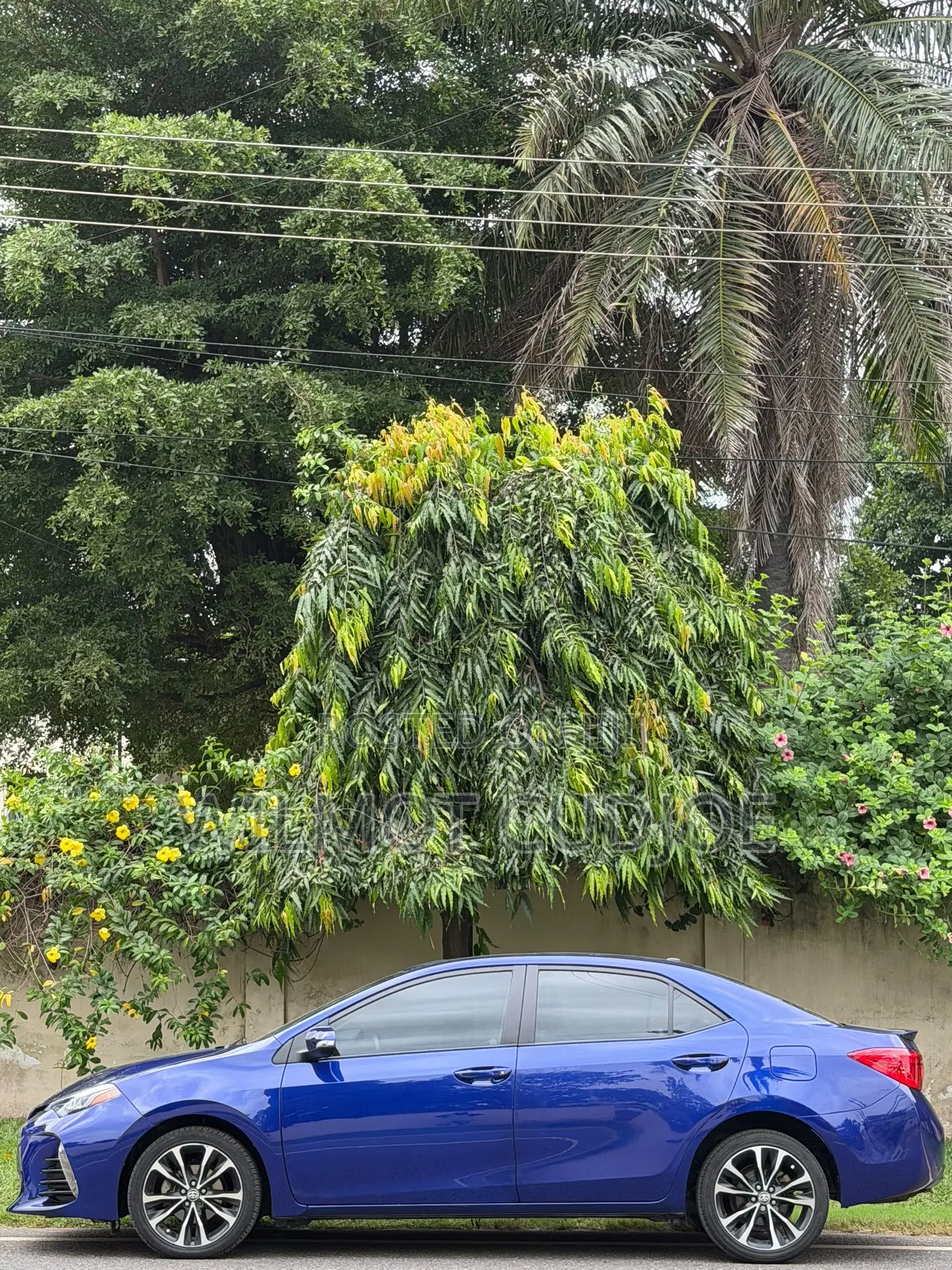 Toyota Corolla 2017 Blue