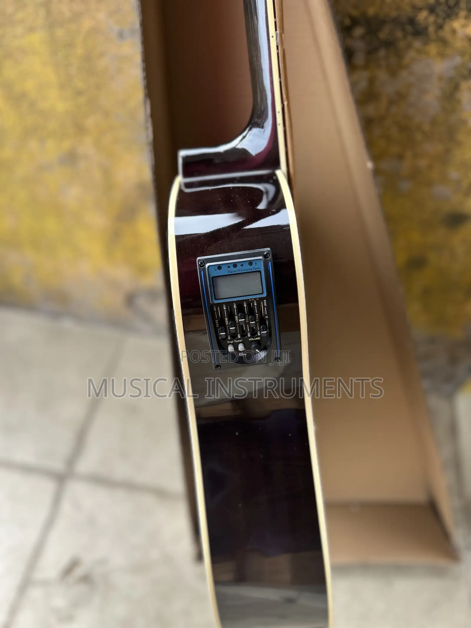 Semi Acoustic Guitar
