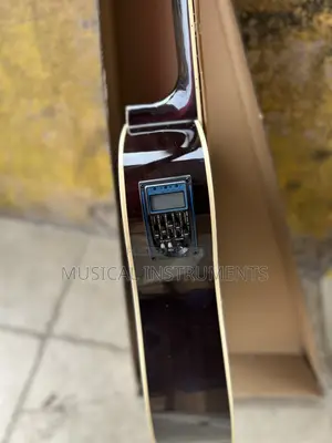 Semi Acoustic Guitar