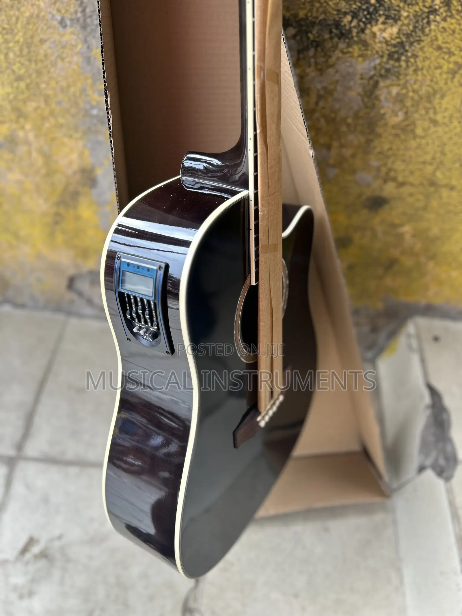Semi Acoustic Guitar