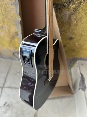 Semi Acoustic Guitar