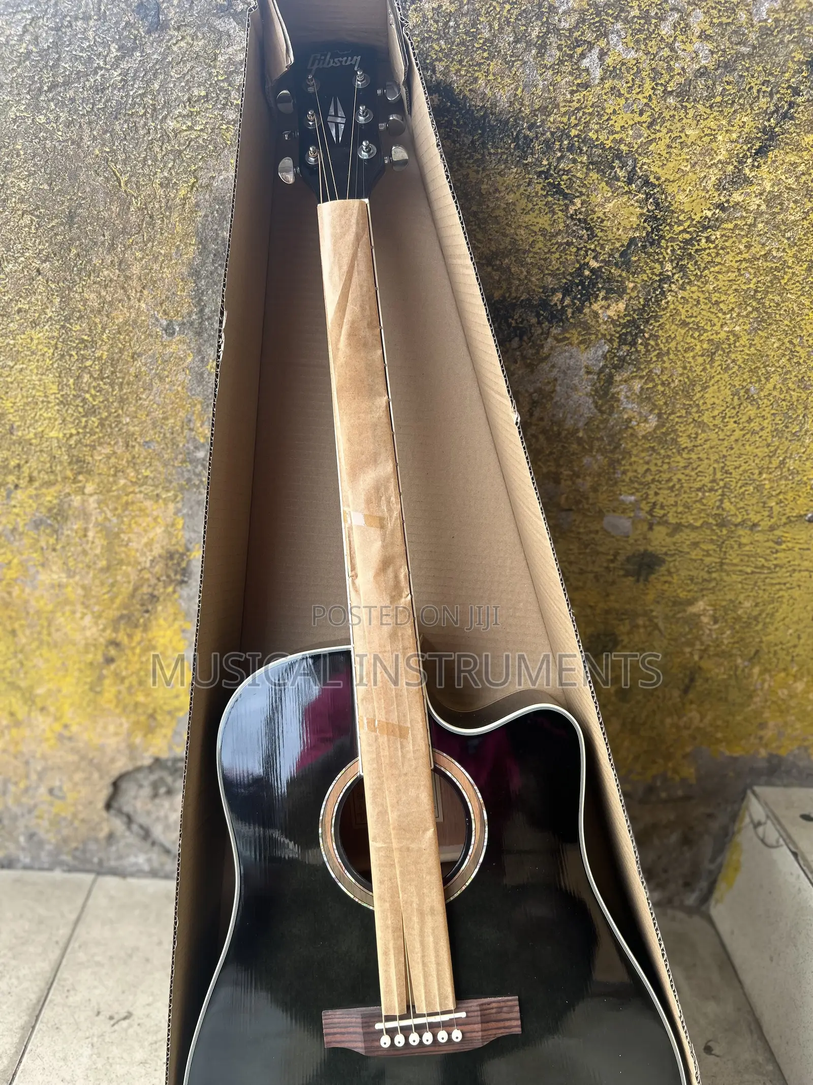 Semi Acoustic Guitar