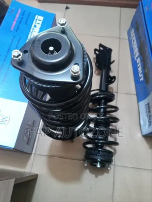 0973. Genuine Mega Chrysler T C, Grand Caravan Complete Strut From USA