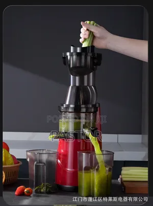 Slow Juicer