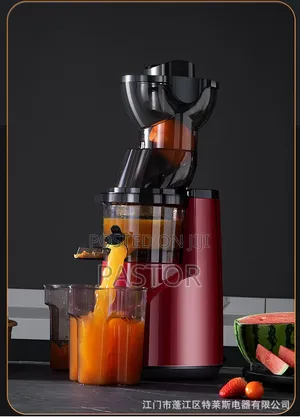 Slow Juicer