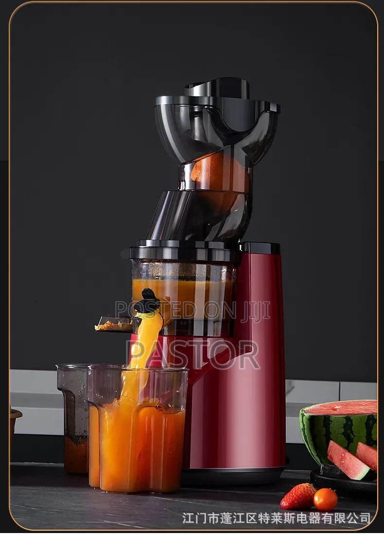 Slow Juicer
