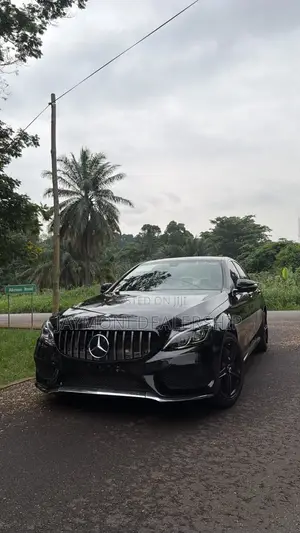 Mercedes-Benz C300 2016 Black
