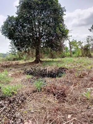 9 Plots of Land for Sale