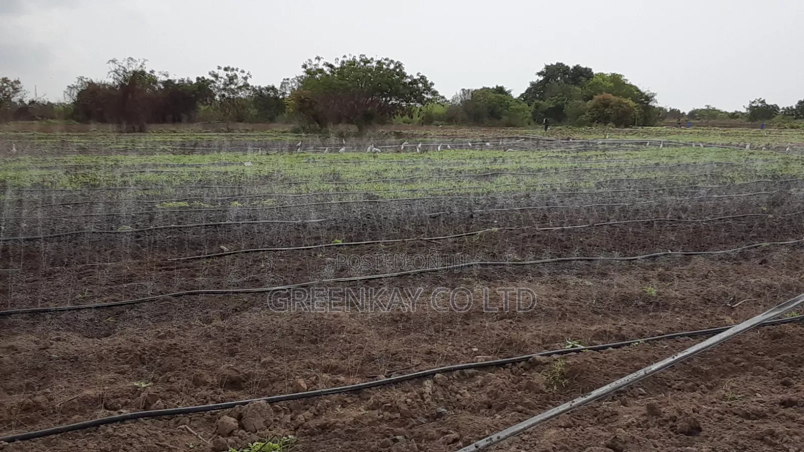 Drip Irrigation Dam Expect