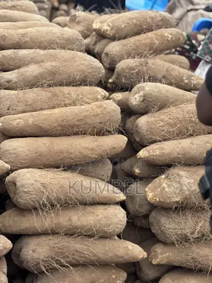 Fresh Yams Cassava Potato for Cool Prices