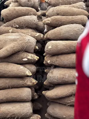 Fresh Yams Cassava Potato for Cool Prices