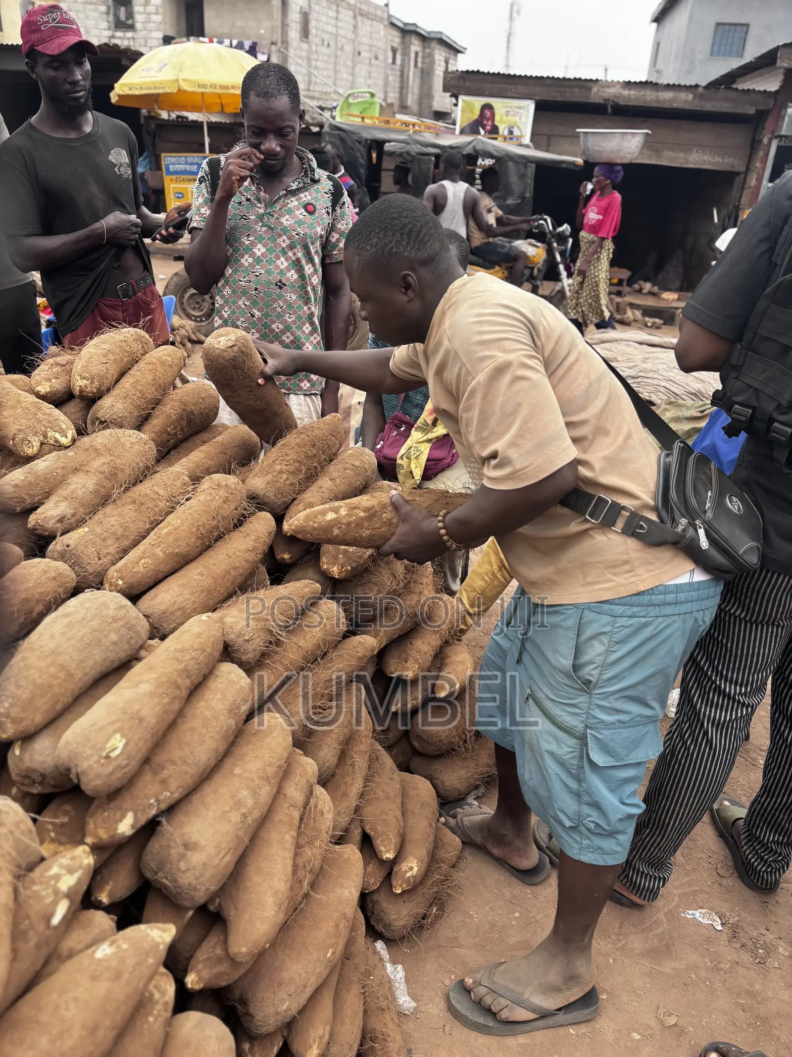 Fresh Yams Cassava Potato for Cool Prices