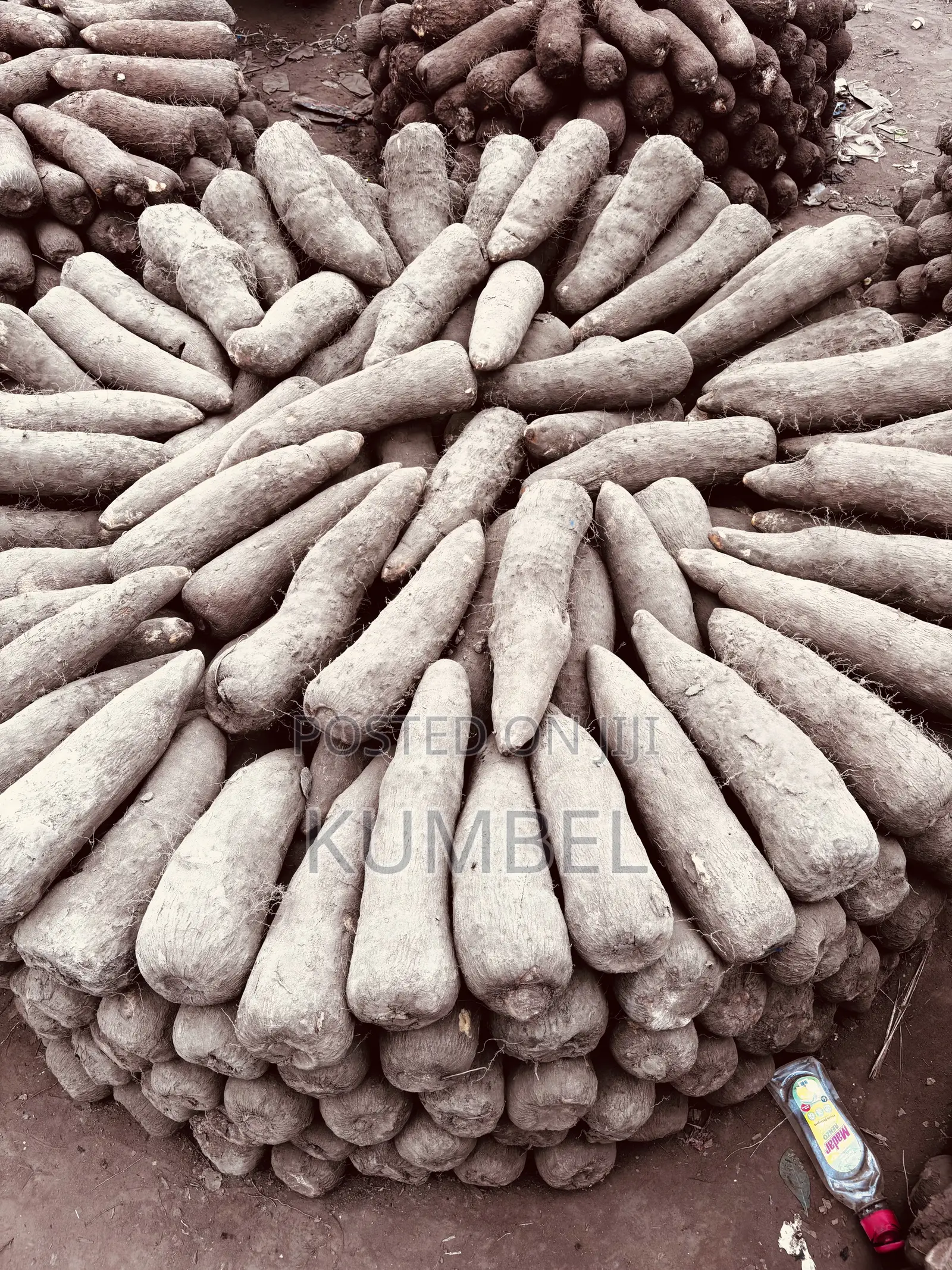 Fresh Yams Cassava Potato for Cool Prices