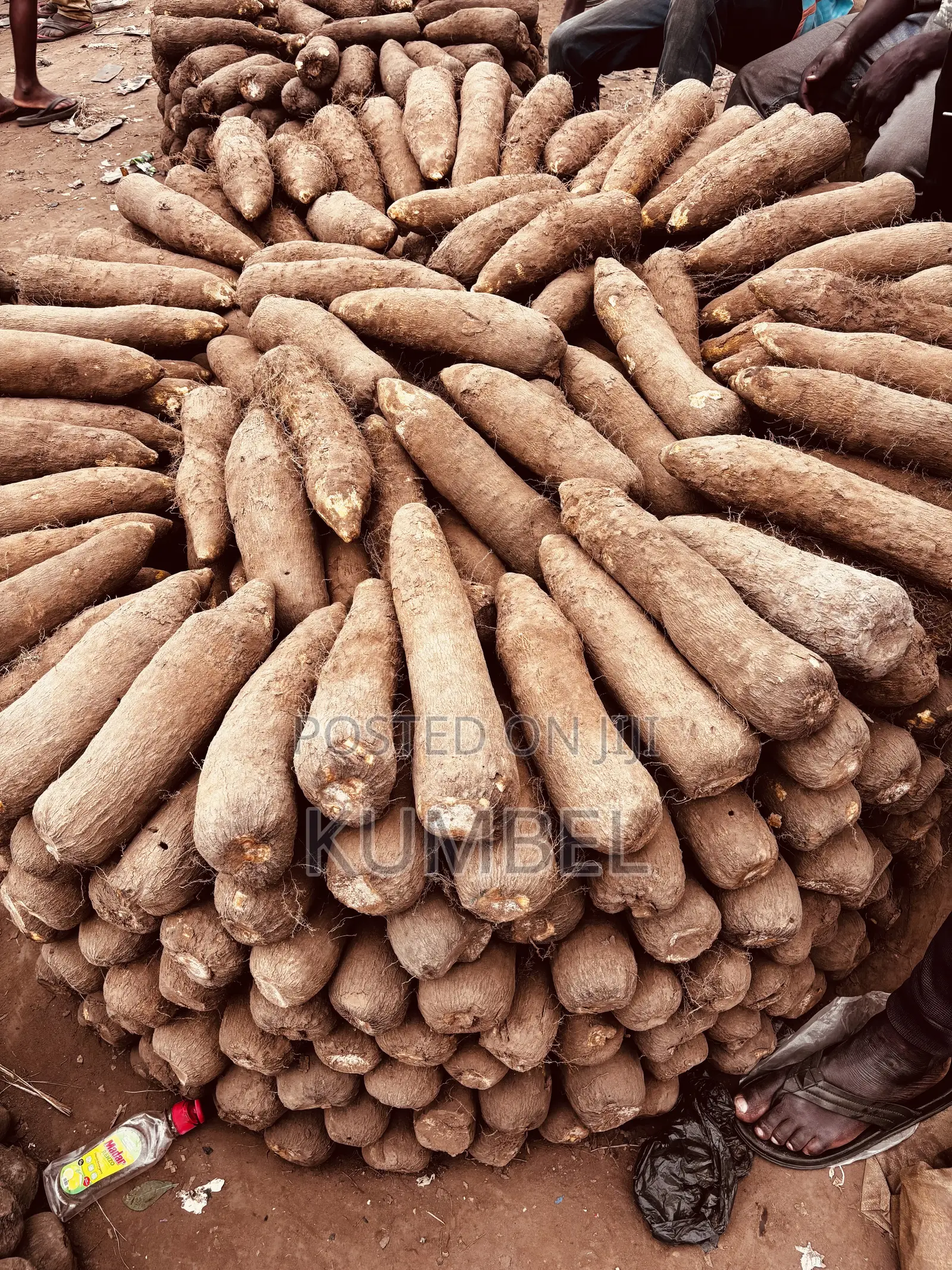 Fresh Yams Cassava Potato for Cool Prices