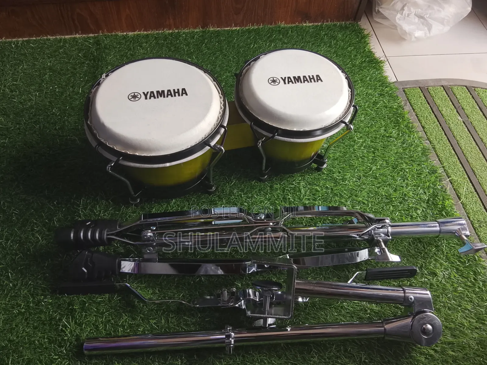 Bongo Drum