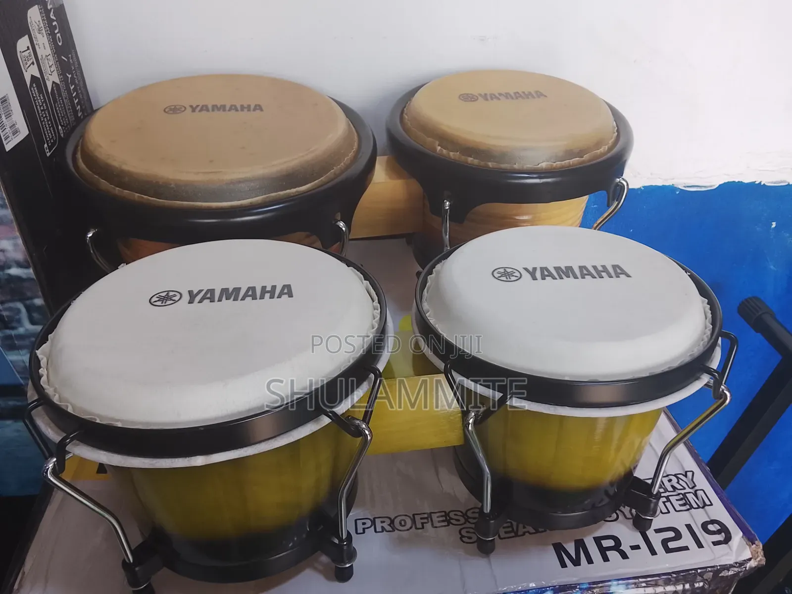 Bongo Drum