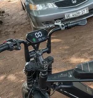 Electric Bicycle 2019 Double Battery