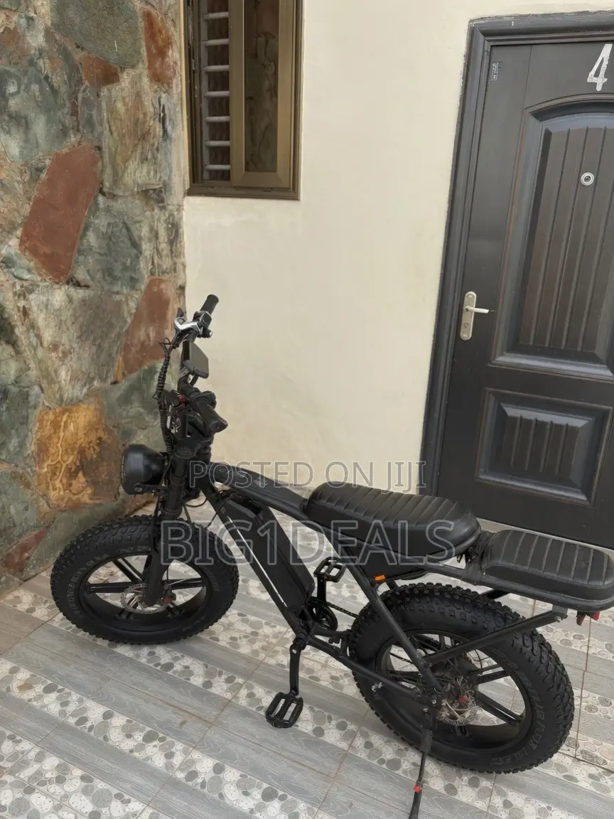 Electric Bicycle 2019 Double Battery