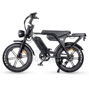 Electric Bicycle 2019 Double Battery