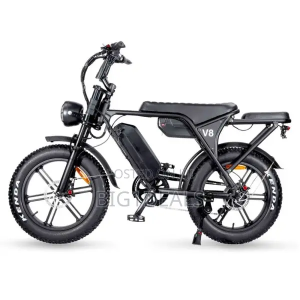 Electric Bicycle 2019 Double Battery