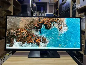 Dell Ultrawide 29-Inch Monitor