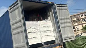 Engines and Generators(any Kw/Kva)
