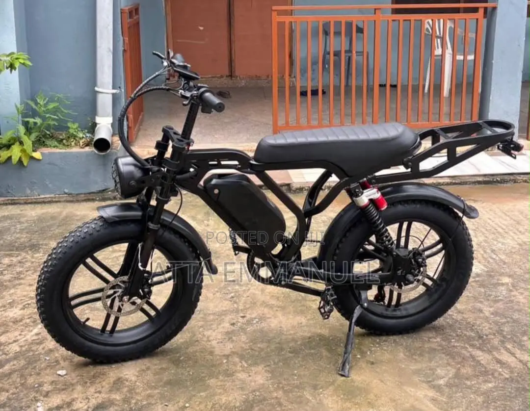 Electric Bike