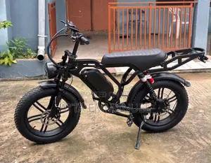 Electric Bike