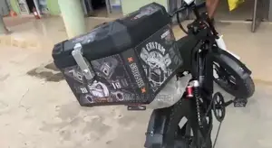 Electric Bike