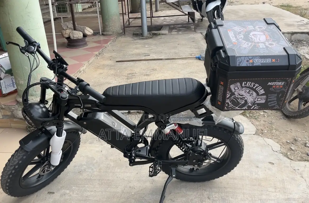 Electric Bike