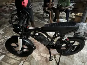 Electric Bike