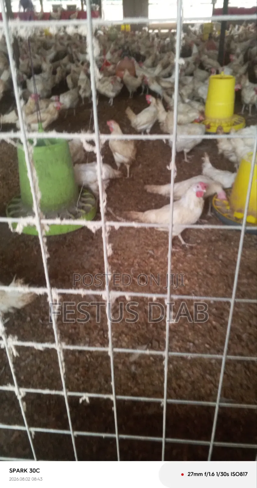 Poultry Farm Workers Free Canteen and Accomodations