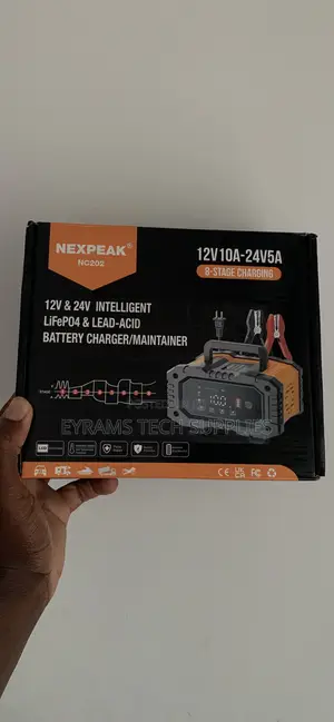 Nexpeak Battery Charger 12V and 24V