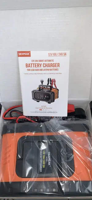 Nexpeak Battery Charger 12V and 24V