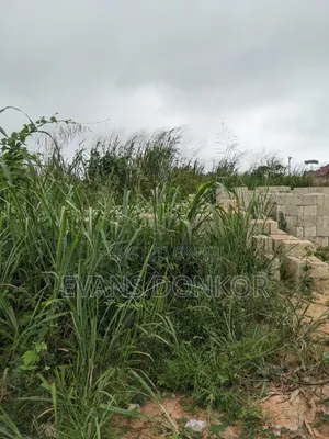 Plot of Land for Sale at Jachie Pramso Off Lake Bosomtwe