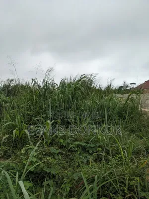 Plot of Land for Sale at Jachie Pramso Off Lake Bosomtwe